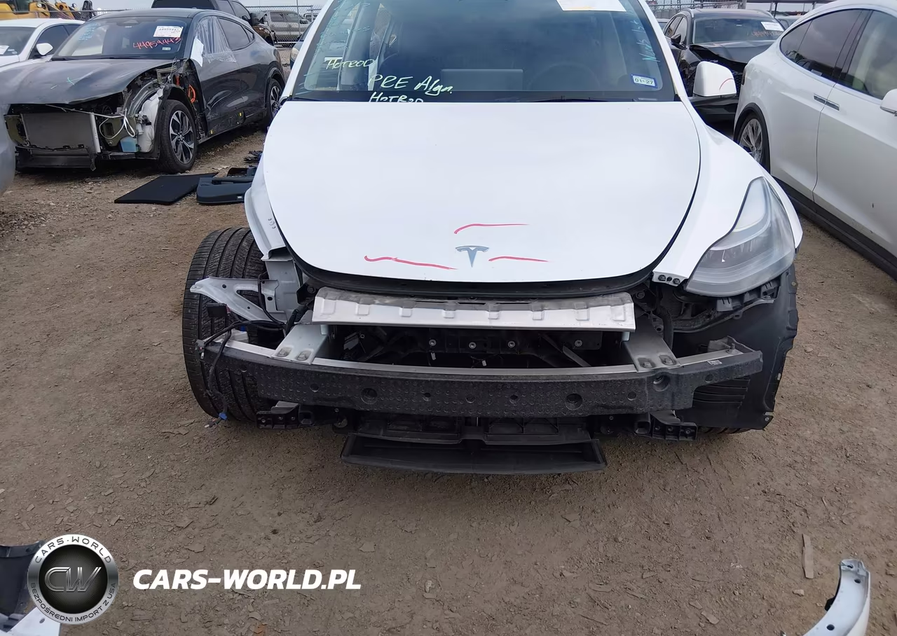 2024 Tesla Model Y Long Range Dual Motor All-Wheel Drive VIN:7SAYGDEE4RA219018 - 6