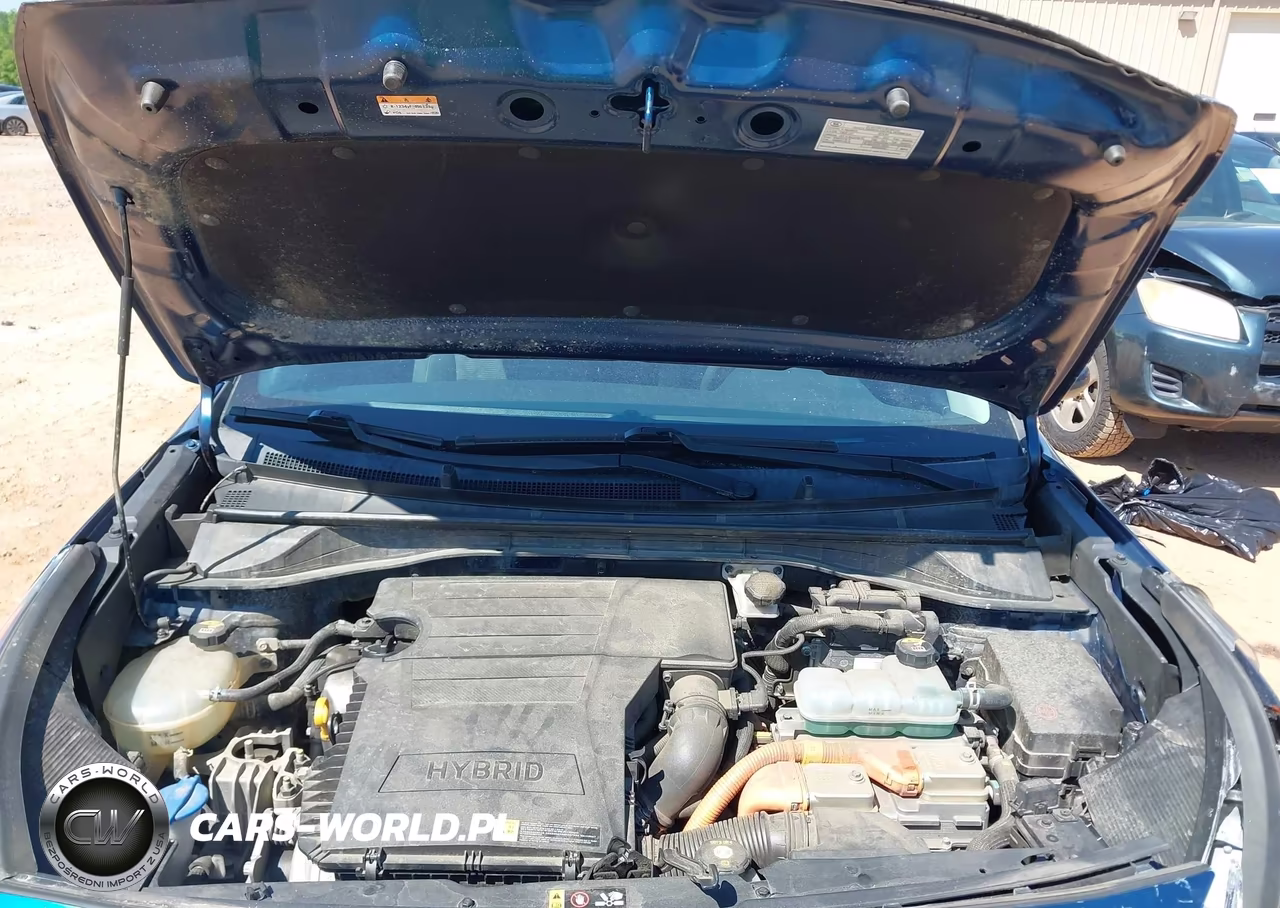 2019 Kia Niro Lx VIN:KNDCB3LC3K5241331 - 10