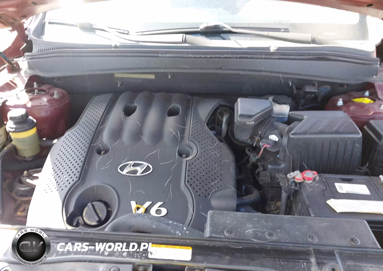 2008 Hyundai Santa Fe Gls VIN:5NMSG73D18H161755 - 10