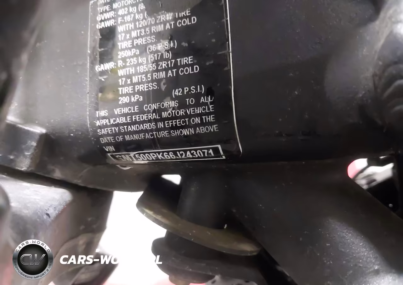 2006 Triumph Motorcycle Speed Triple VIN:SMT500PK66J243071 - 10