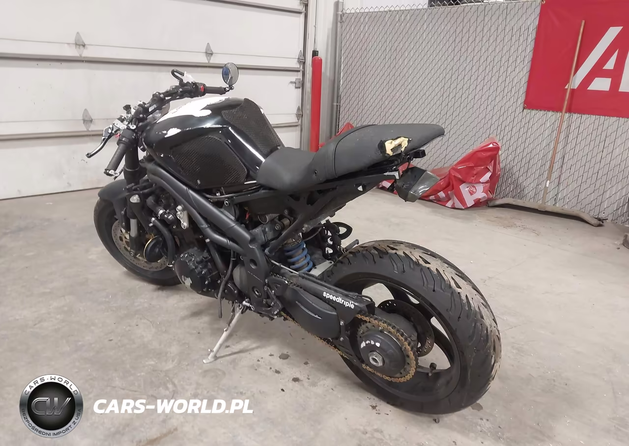 2006 Triumph Motorcycle Speed Triple VIN:SMT500PK66J243071 - 3