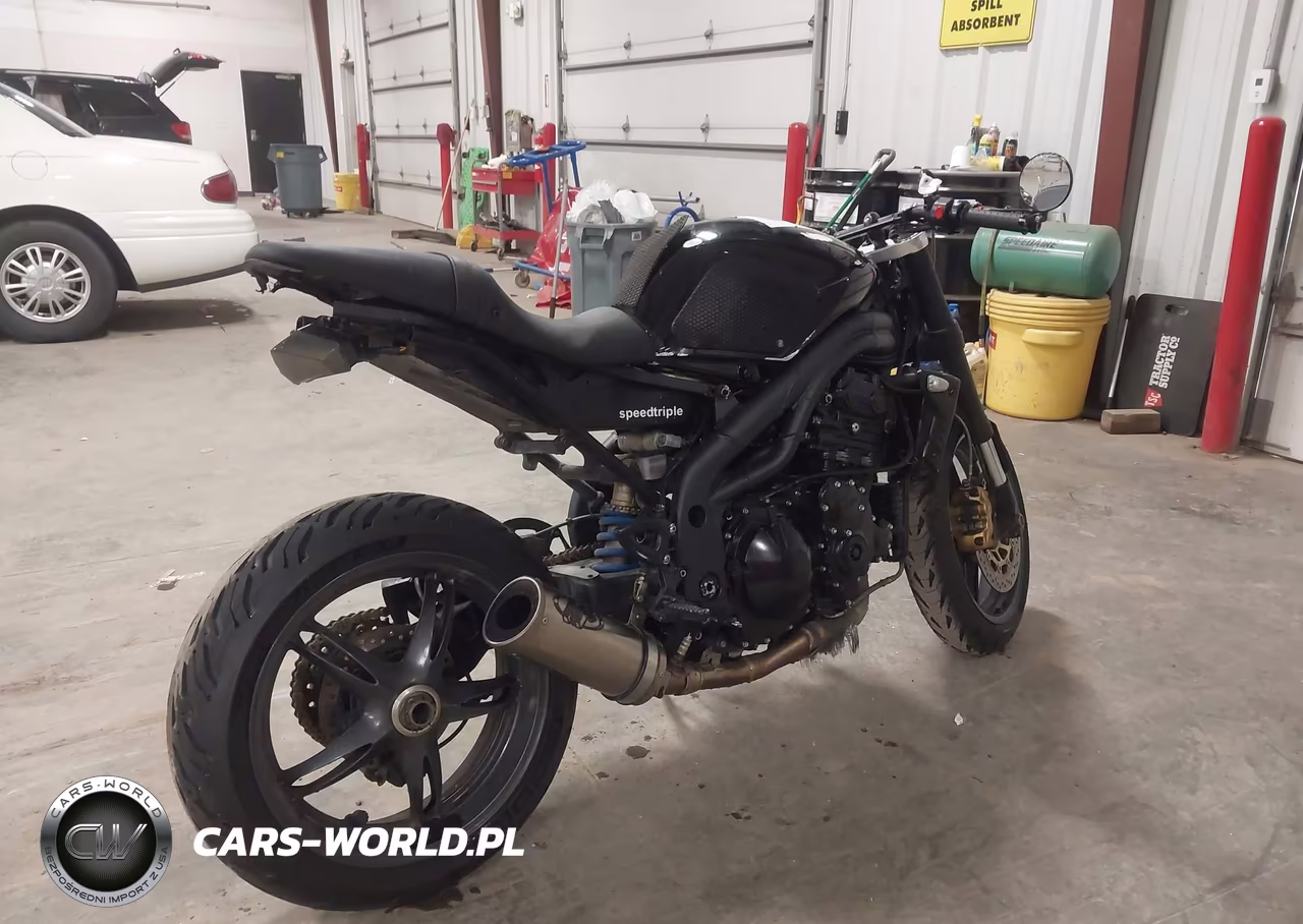 2006 Triumph Motorcycle Speed Triple VIN:SMT500PK66J243071 - 4