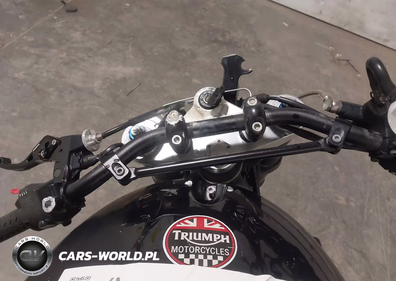 2006 Triumph Motorcycle Speed Triple VIN:SMT500PK66J243071 - 7