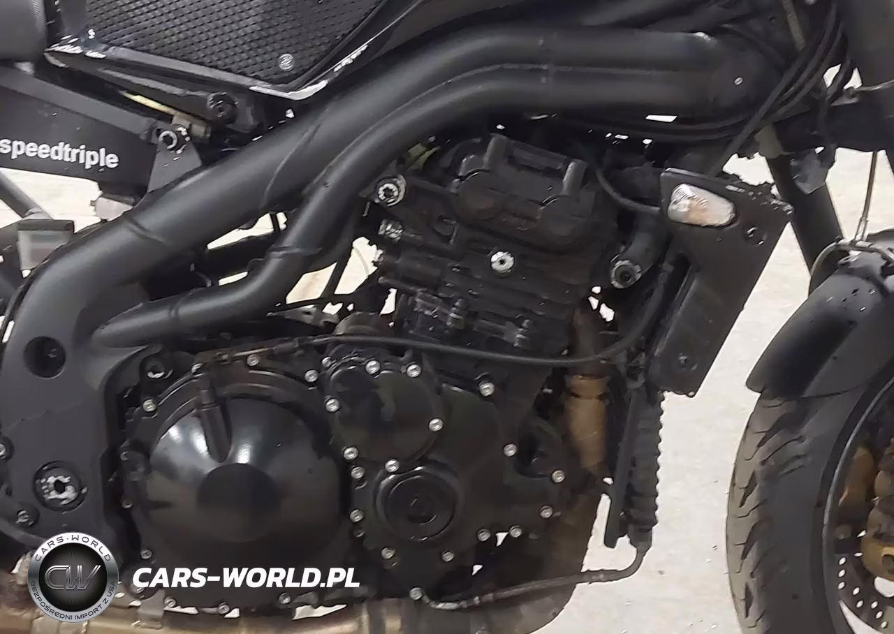 2006 Triumph Motorcycle Speed Triple VIN:SMT500PK66J243071 - 8
