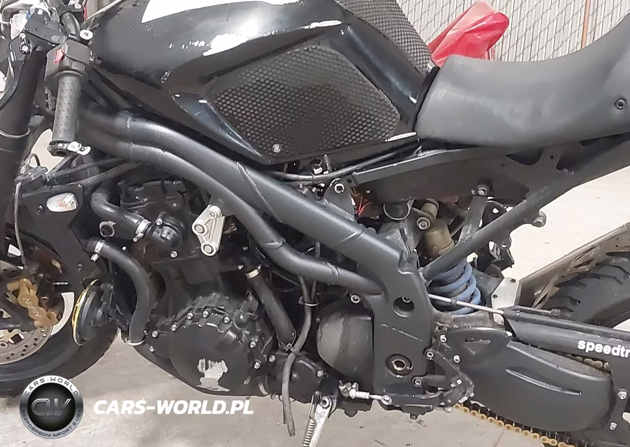 2006 Triumph Motorcycle Speed Triple VIN:SMT500PK66J243071 - 9