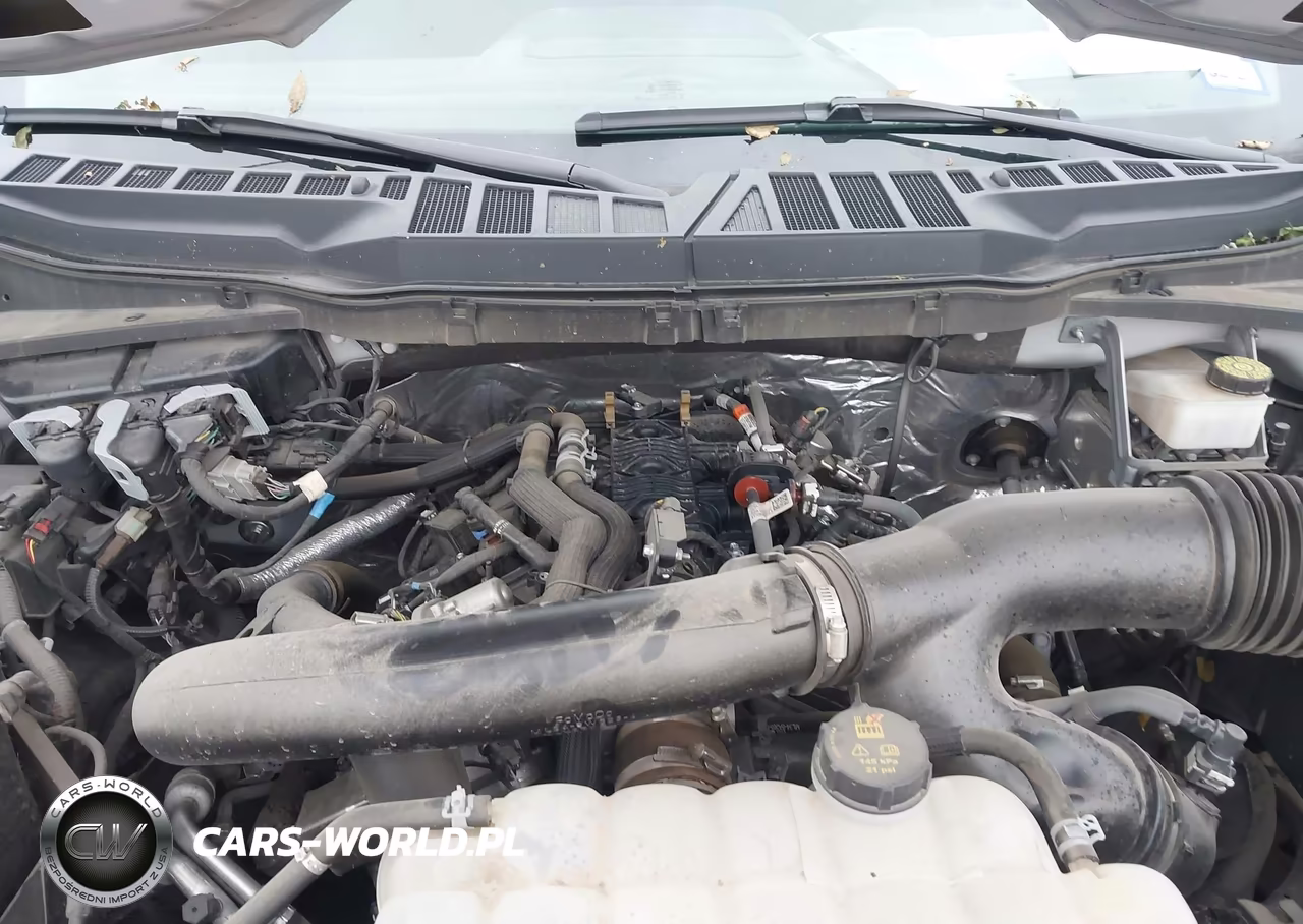 2024 Ford F-150 Xlt VIN:1FTFW3L88RKF04065 - 10