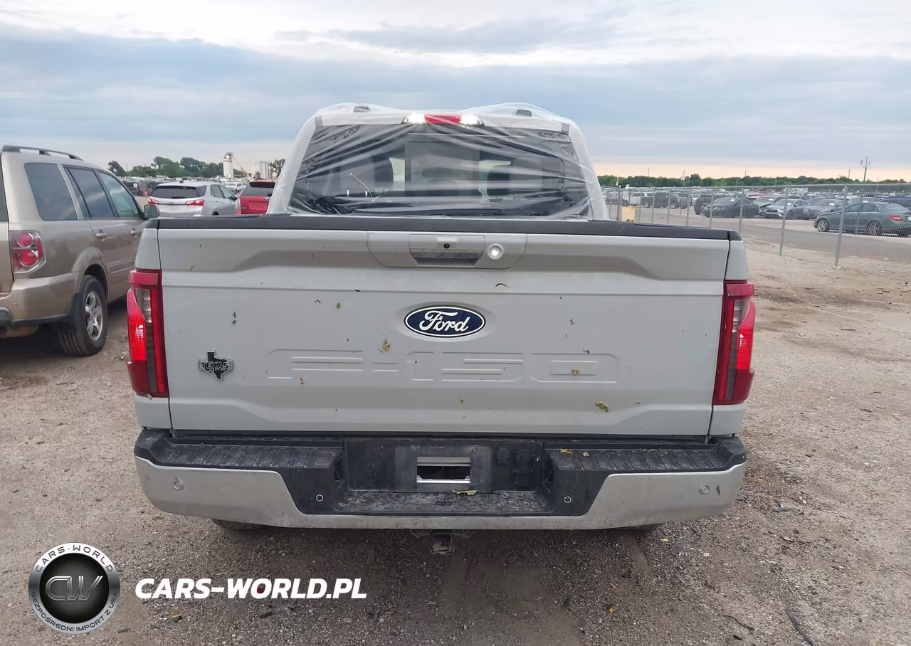 2024 Ford F-150 Xlt VIN:1FTFW3L88RKF04065 - 16