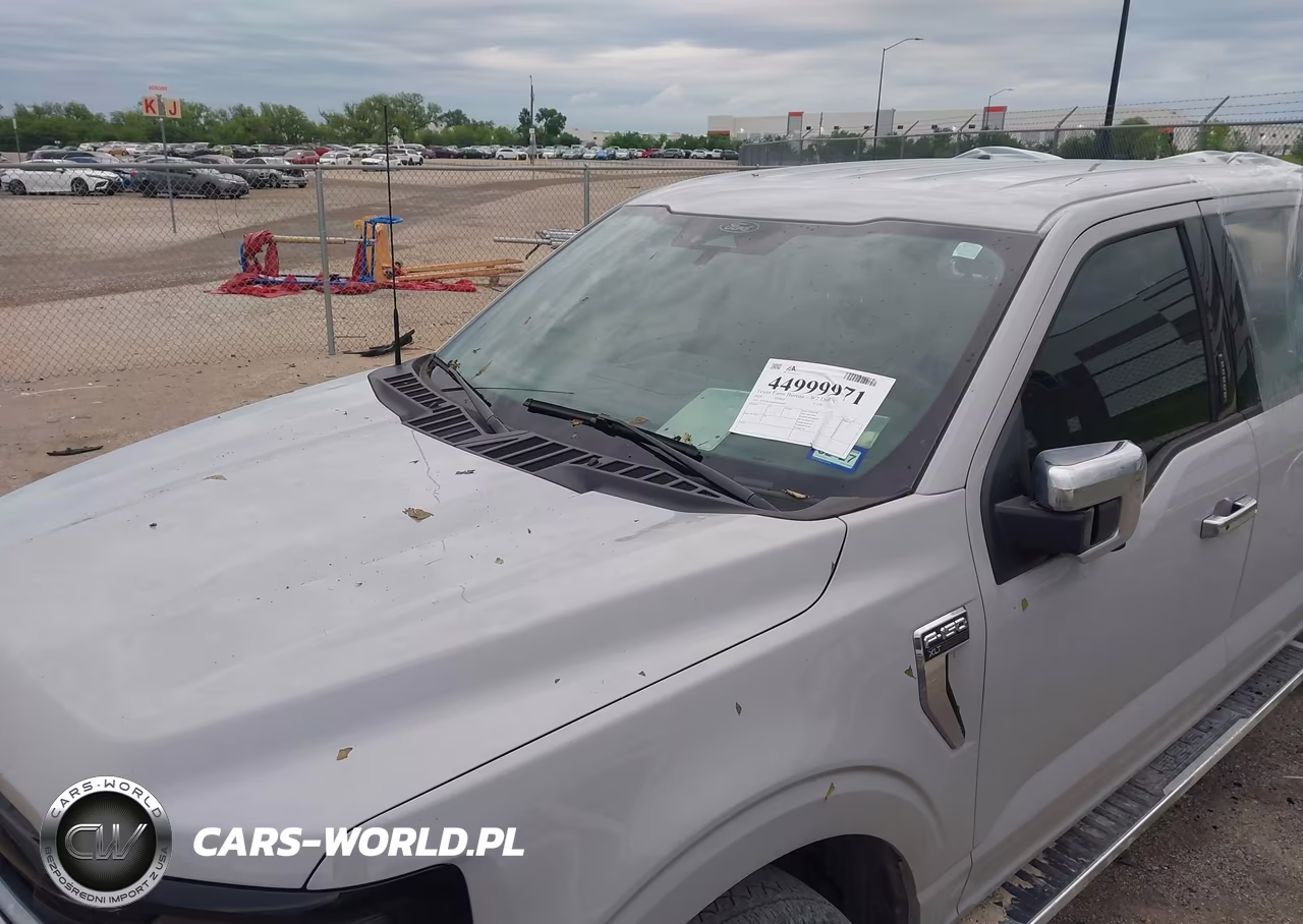 2024 Ford F-150 Xlt VIN:1FTFW3L88RKF04065 - 17