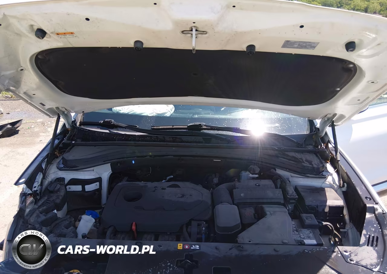 2019 Hyundai Santa Fe Se VIN:5NMS2CAD2KH118415 - 10