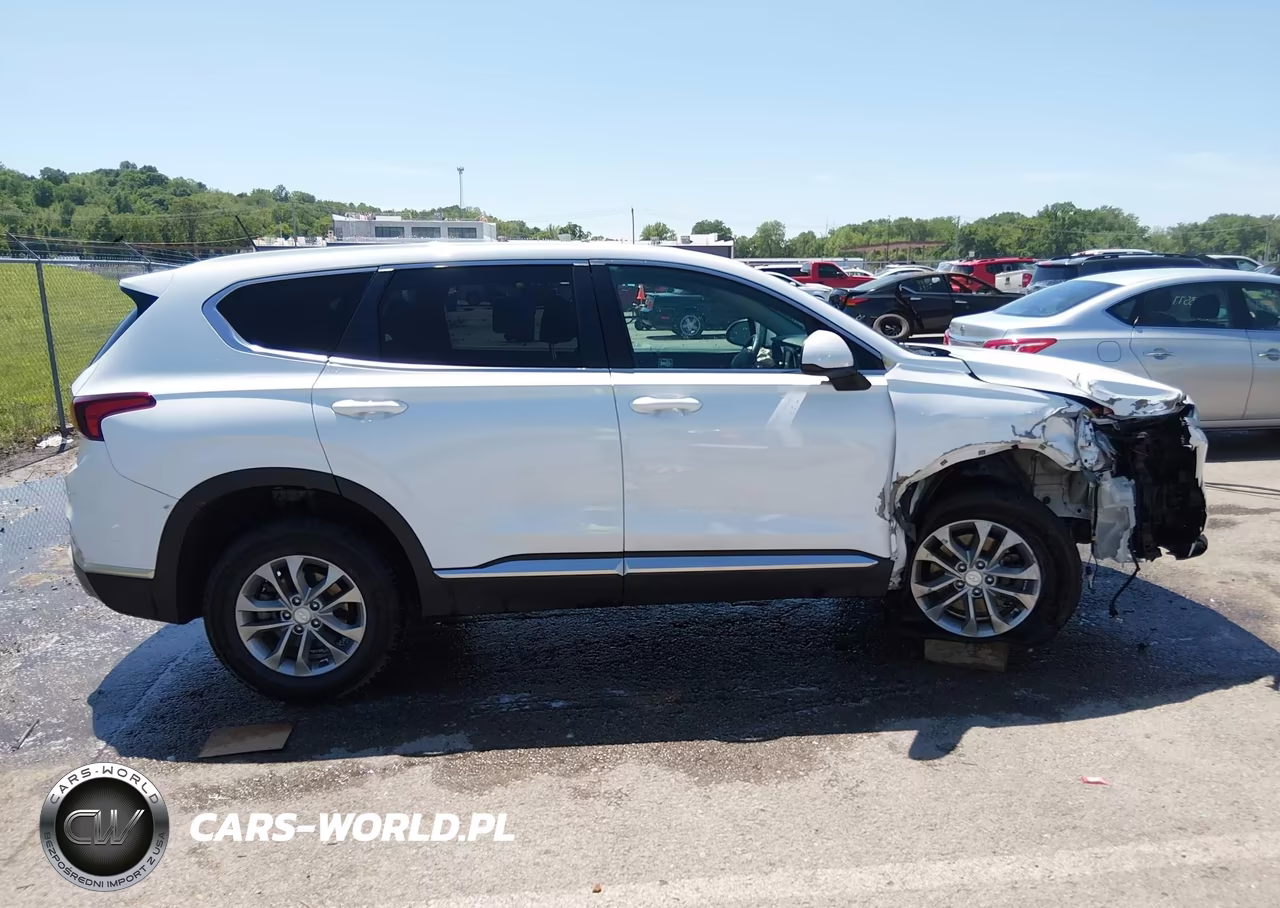 2019 Hyundai Santa Fe Se VIN:5NMS2CAD2KH118415 - 12