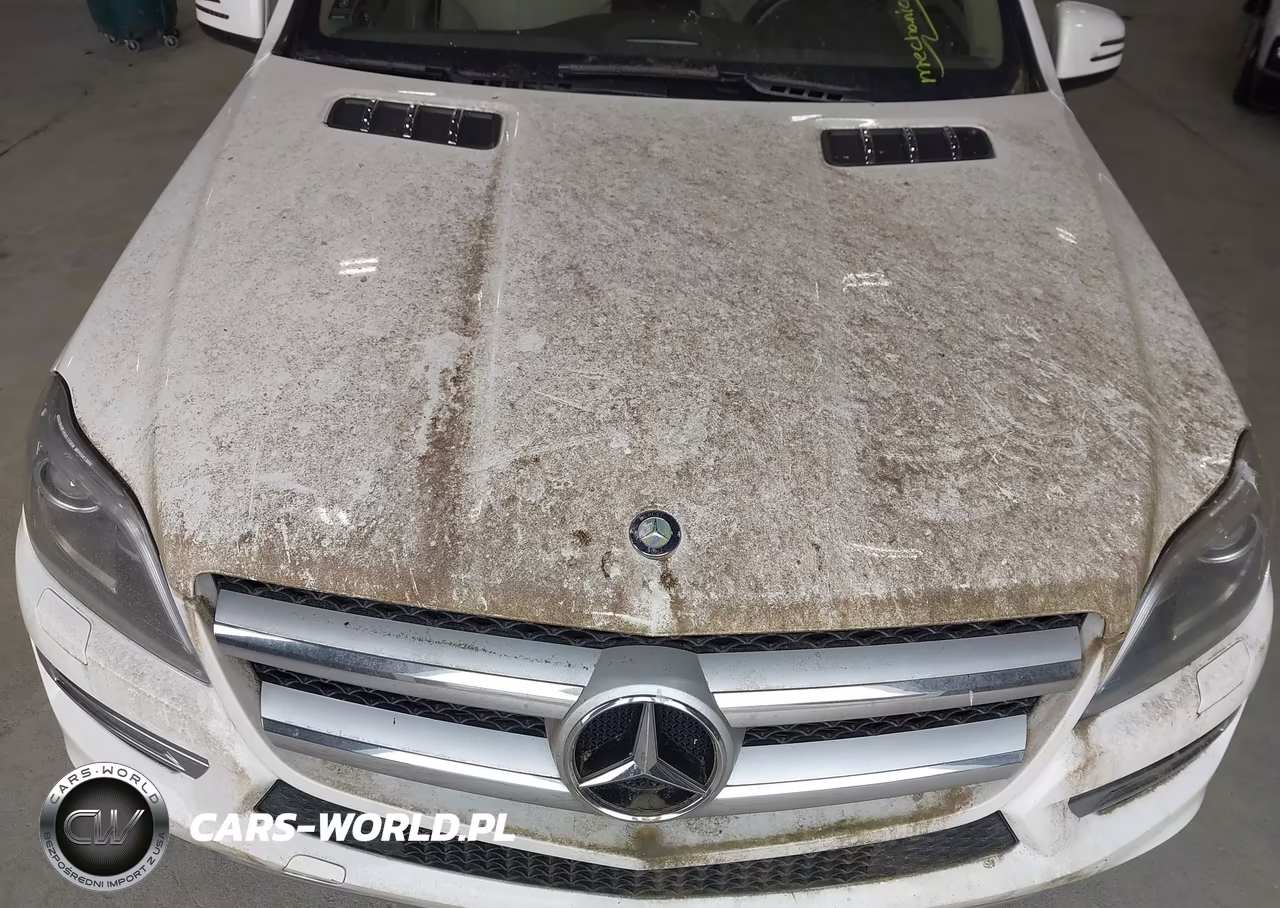 2016 Mercedes-Benz Gl 450 4Matic VIN:4JGDF6EE5GA629213 - 17