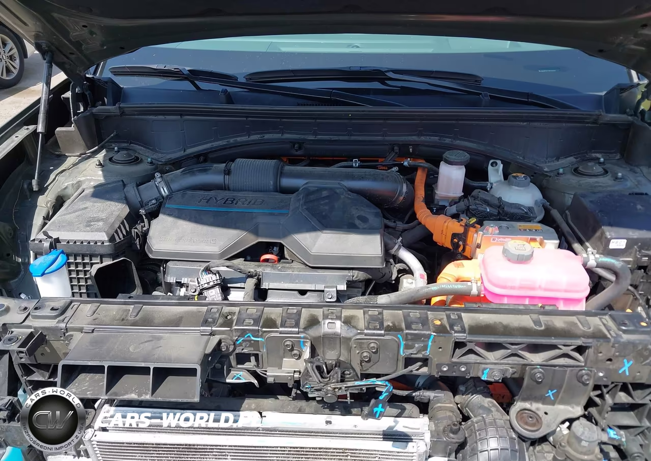 2025 Hyundai Santa Fe Hybrid Calligraphy VIN:5NMP5DG12SH028102 - 10