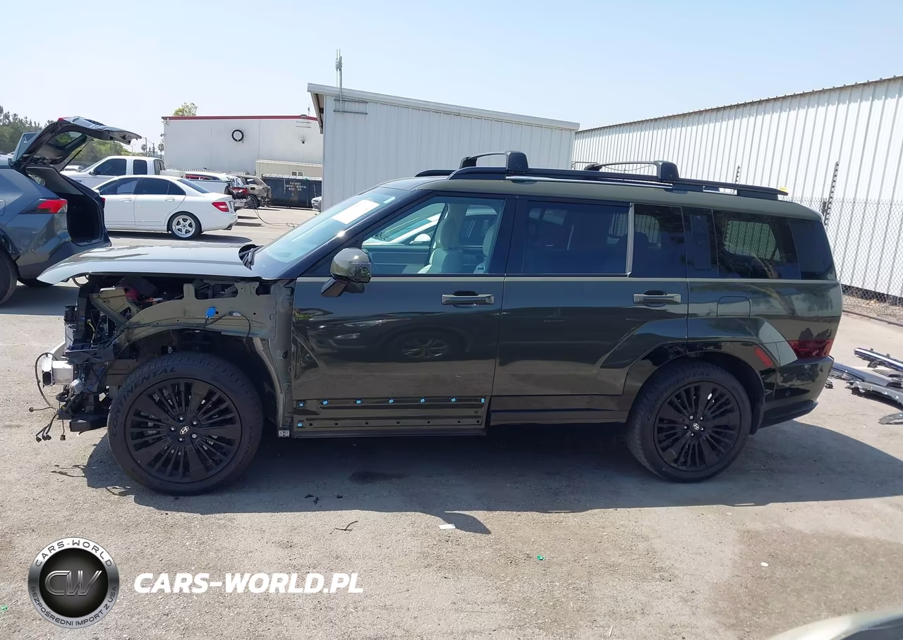 2025 Hyundai Santa Fe Hybrid Calligraphy VIN:5NMP5DG12SH028102 - 15
