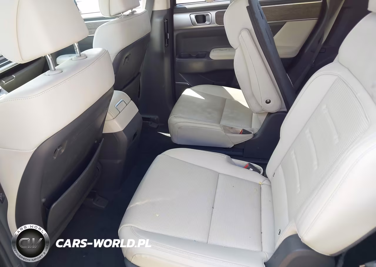 2025 Hyundai Santa Fe Hybrid Calligraphy VIN:5NMP5DG12SH028102 - 8