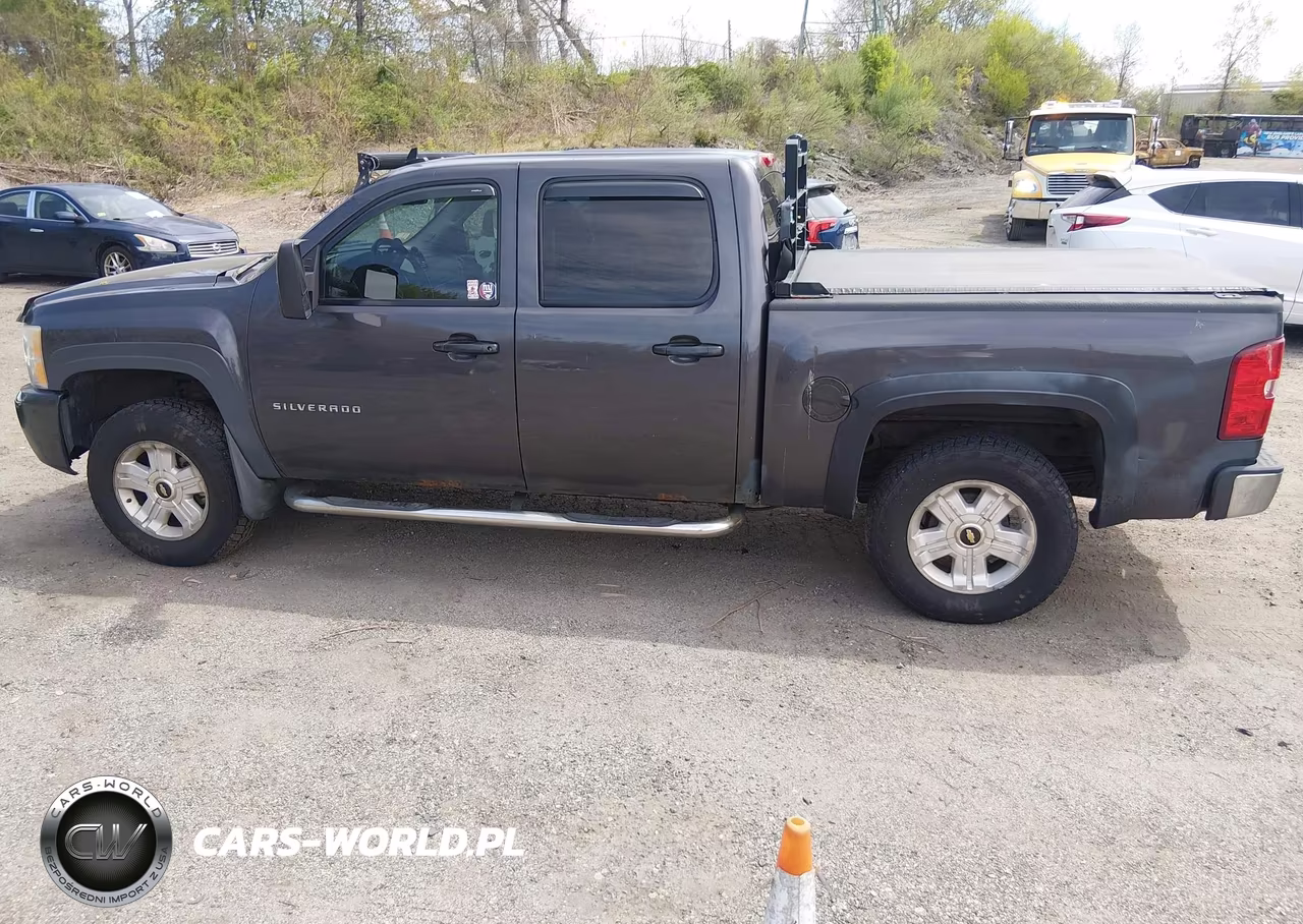2010 Chevrolet Silverado 1500 Lt VIN:3GCRKSE30AG121236 - 14