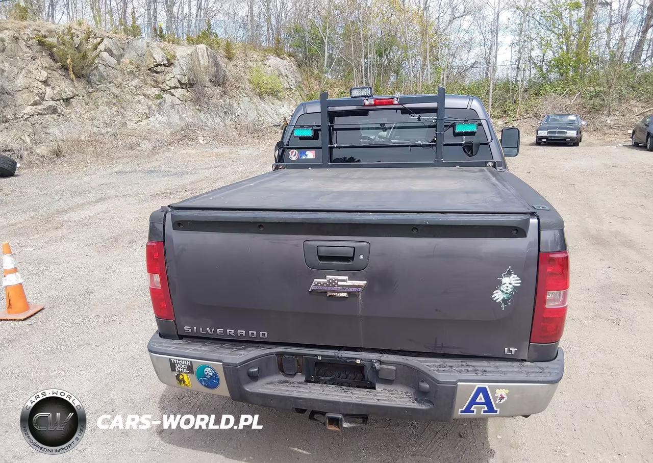 2010 Chevrolet Silverado 1500 Lt VIN:3GCRKSE30AG121236 - 16