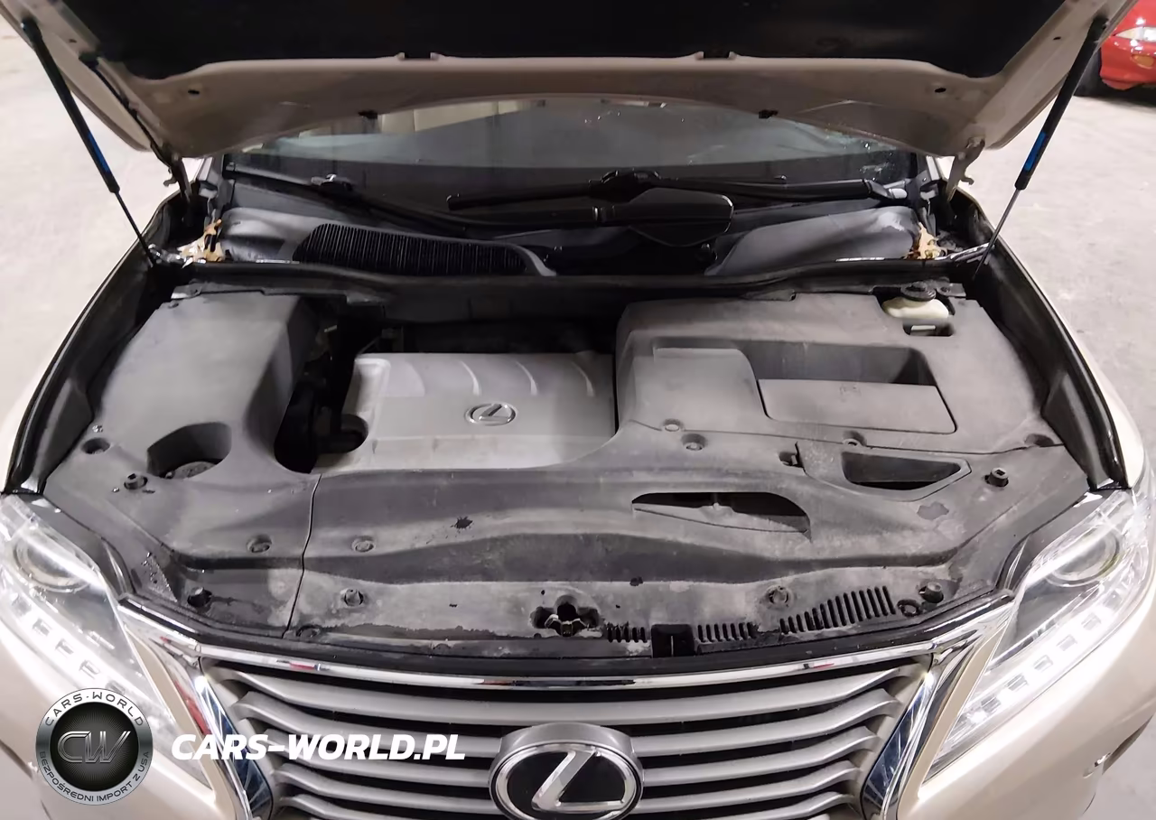 2015 Lexus Rx 350 VIN:2T2BK1BA9FC290540 - 10