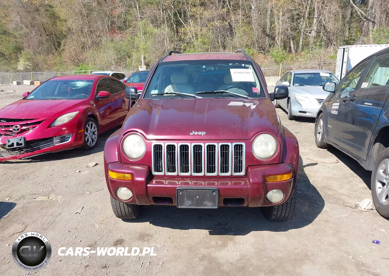 2003 Jeep Liberty Limited Edition VIN:1J4GL58K13W584977 - 12