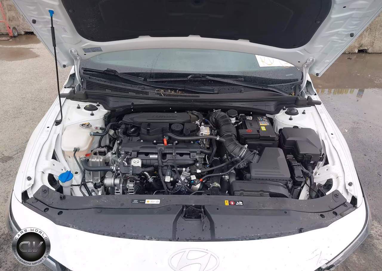 2024 Hyundai Elantra N Line VIN:KMHLR4DF7RU822983 - 10