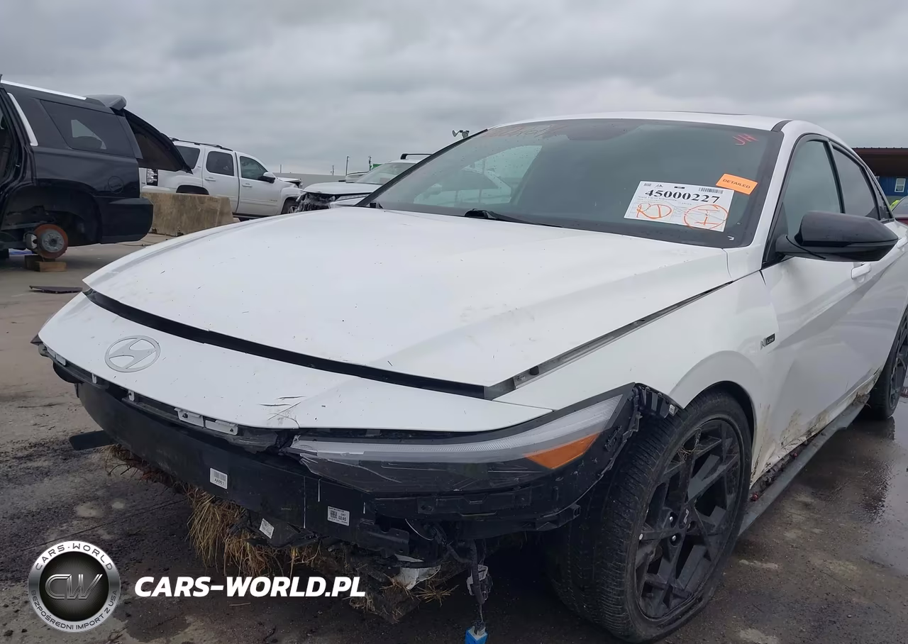 2024 Hyundai Elantra N Line VIN:KMHLR4DF7RU822983 - 19