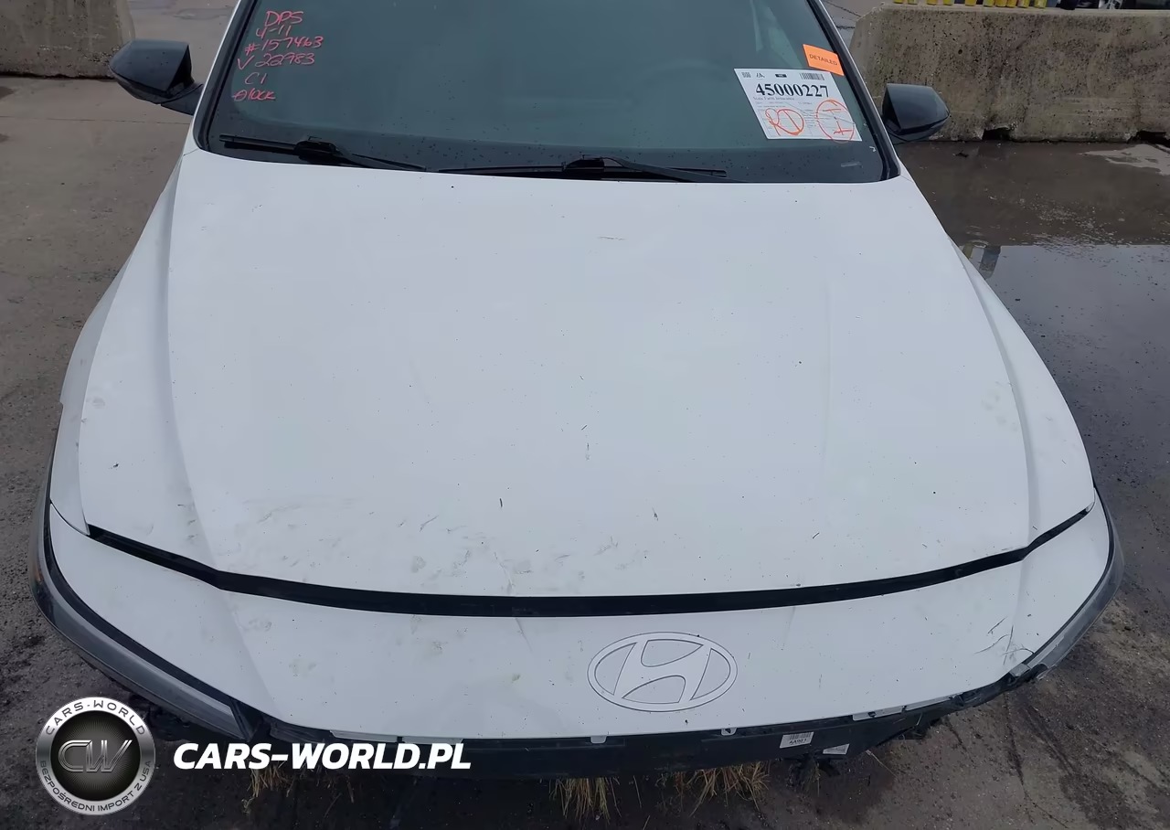 2024 Hyundai Elantra N Line VIN:KMHLR4DF7RU822983 - 20