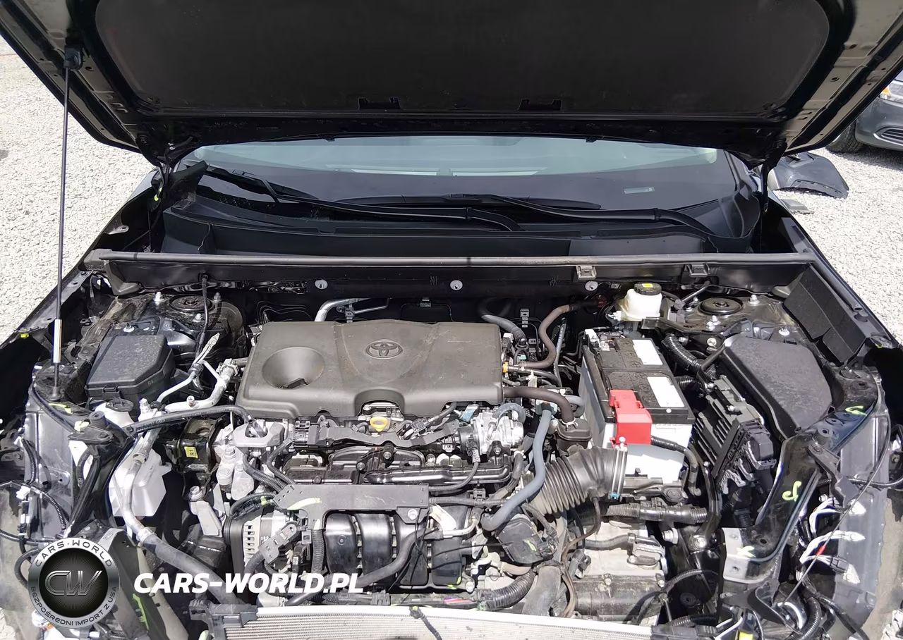 2024 Toyota Rav4 Xle VIN:2T3P1RFV1RC456988 - 10