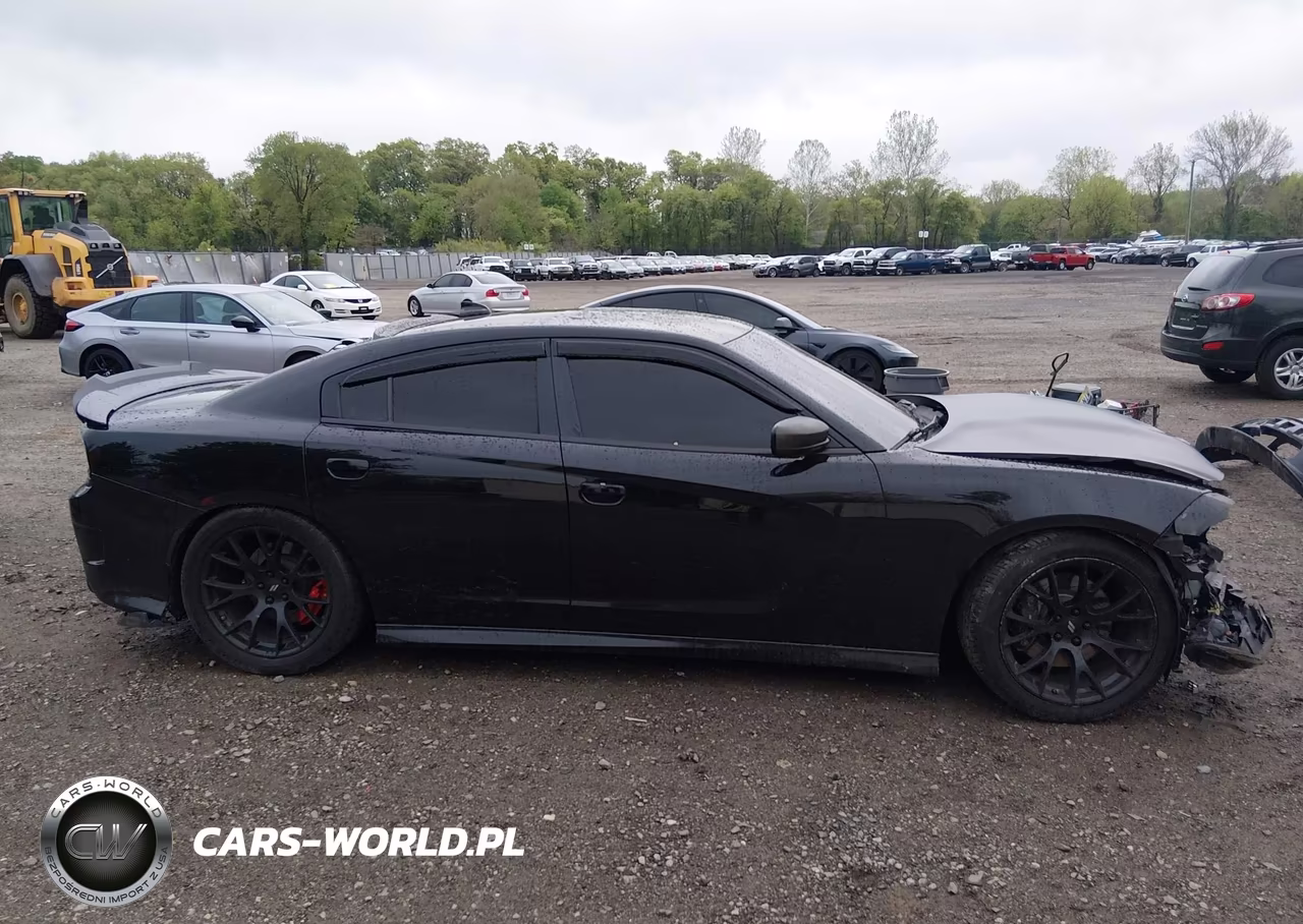 2015 Dodge Charger Road-Track VIN:2C3CDXCT0FH871151 - 13