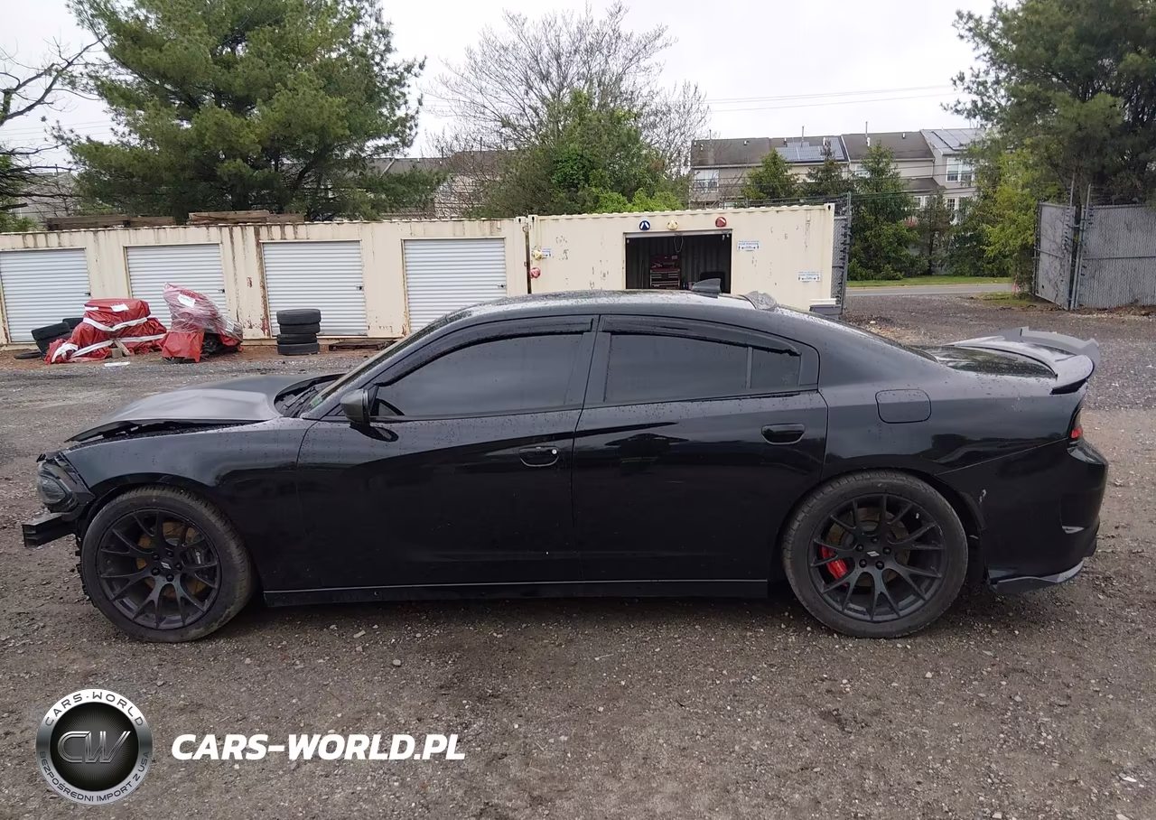 2015 Dodge Charger Road-Track VIN:2C3CDXCT0FH871151 - 14