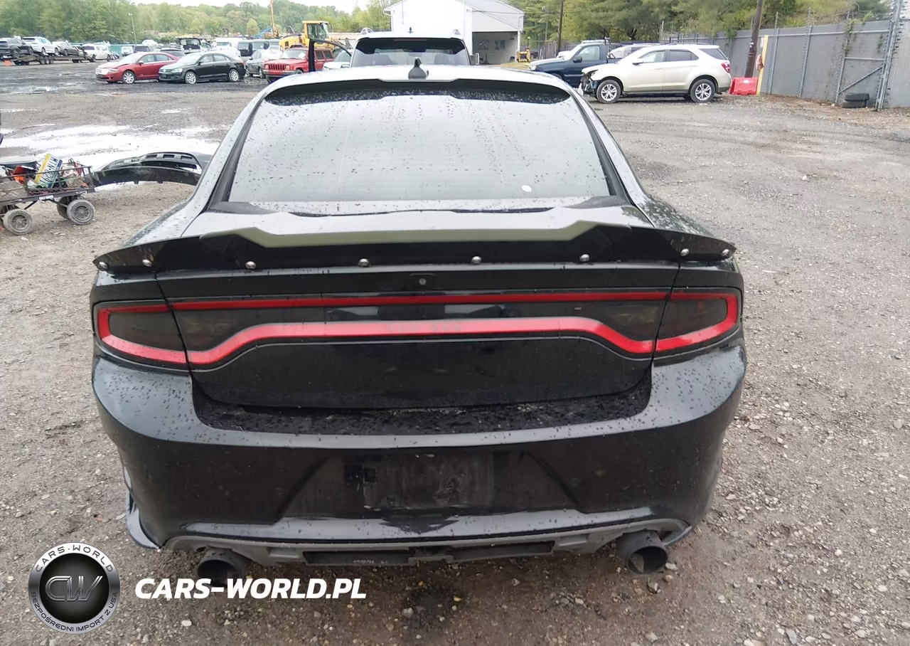 2015 Dodge Charger Road-Track VIN:2C3CDXCT0FH871151 - 16