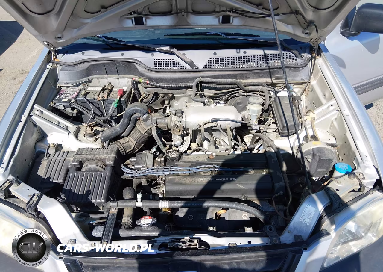 1998 Honda Cr-V Lx VIN:JHLRD2847WC005088 - 10