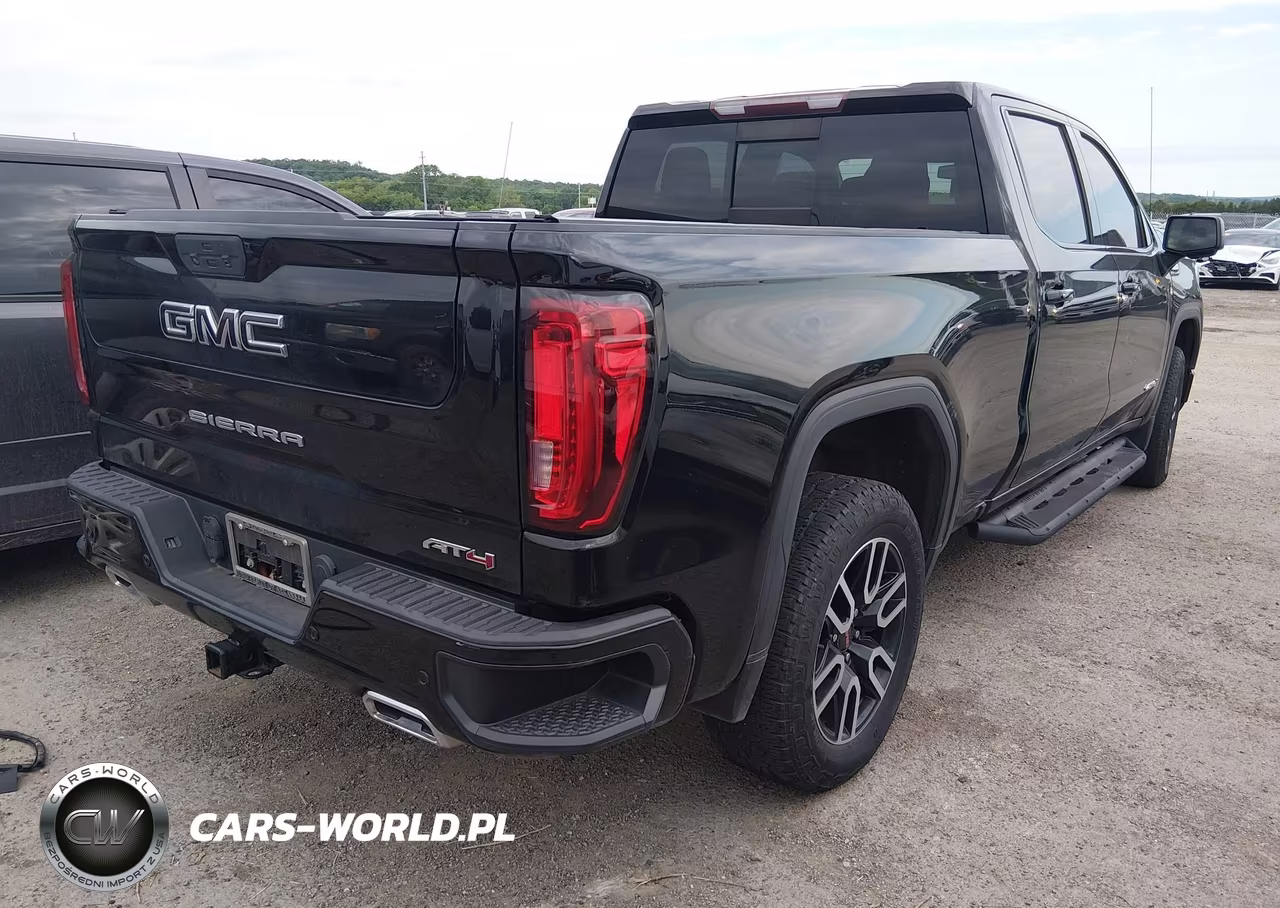 2020 GMC Sierra 1500 4Wd Standard Box At4 VIN:3GTU9EET8LG341444 - 4