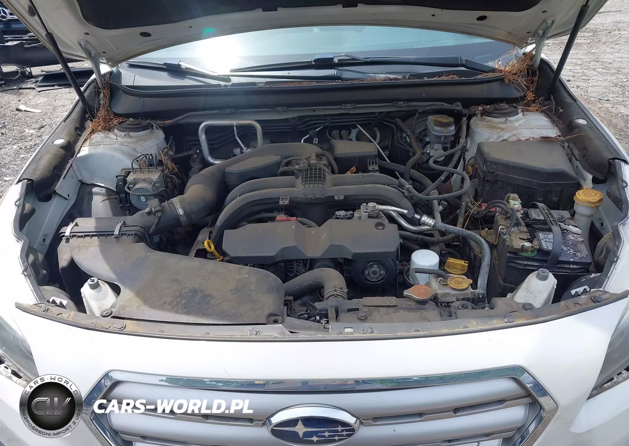 2017 Subaru Outback 2.5I VIN:4S4BSAAC5H3391542 - 10