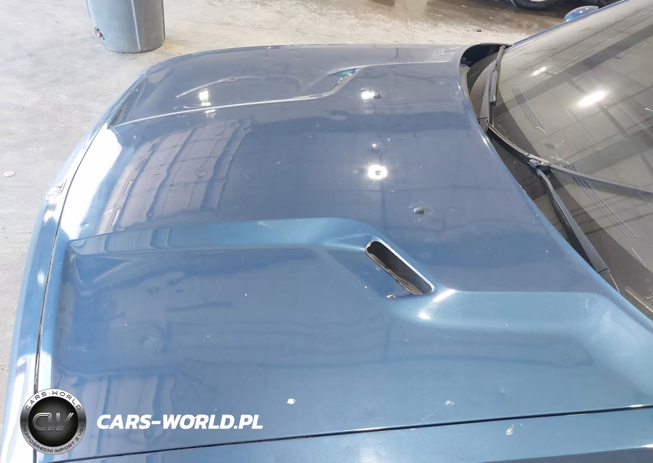 2009 Dodge Challenger R-T VIN:2B3LJ54T79H525496 - 6