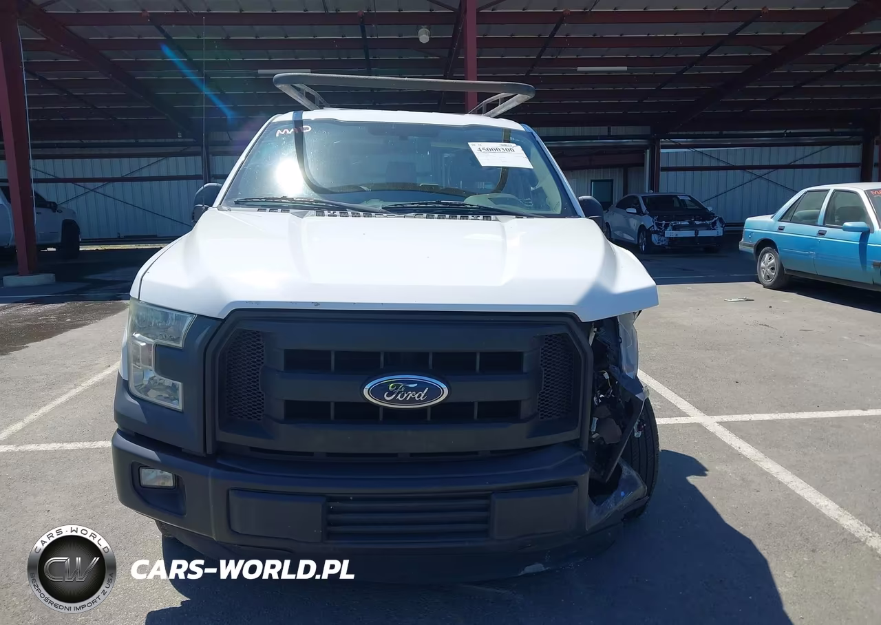2016 Ford F-150 Xl VIN:1FTEX1CF5GKD81530 - 12