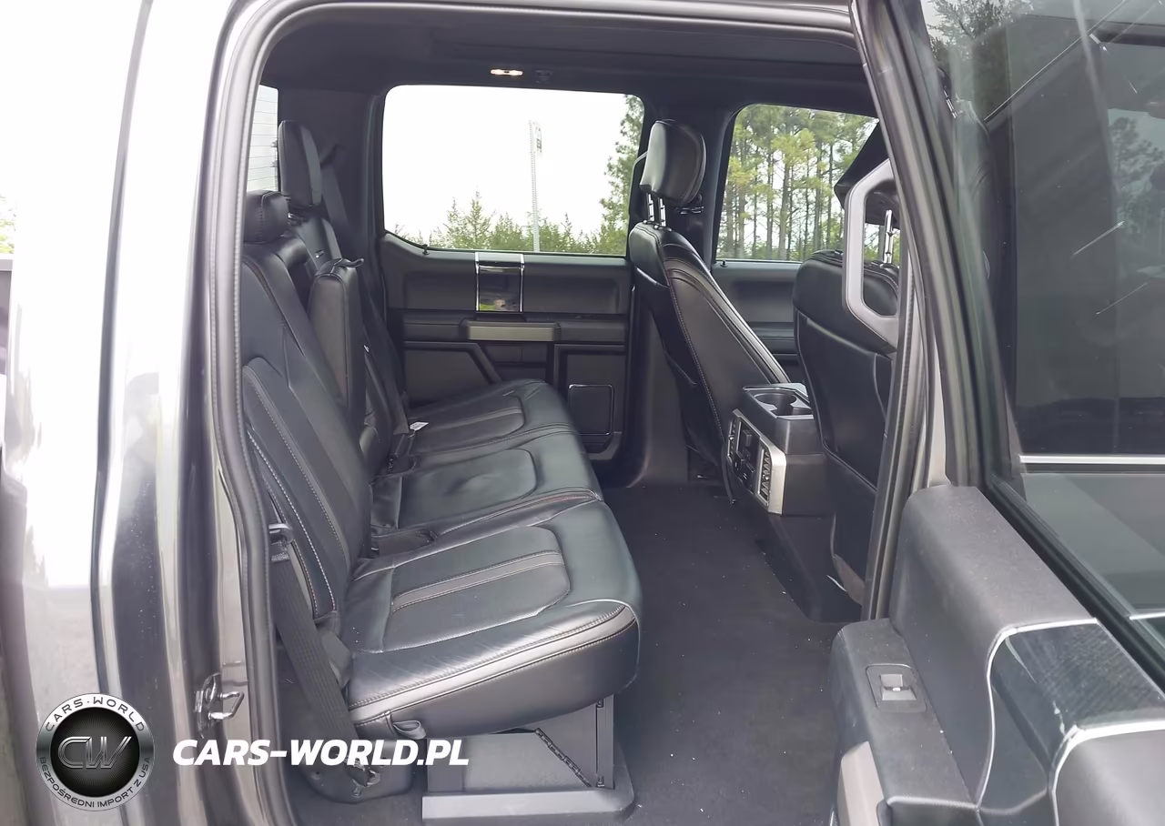 2020 Ford F-250 Platinum VIN:1FT7W2BT8LEE60479 - 8