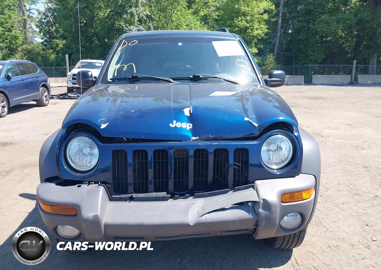 2002 Jeep Liberty Sport VIN:1J4GL48K02W244065 - 12