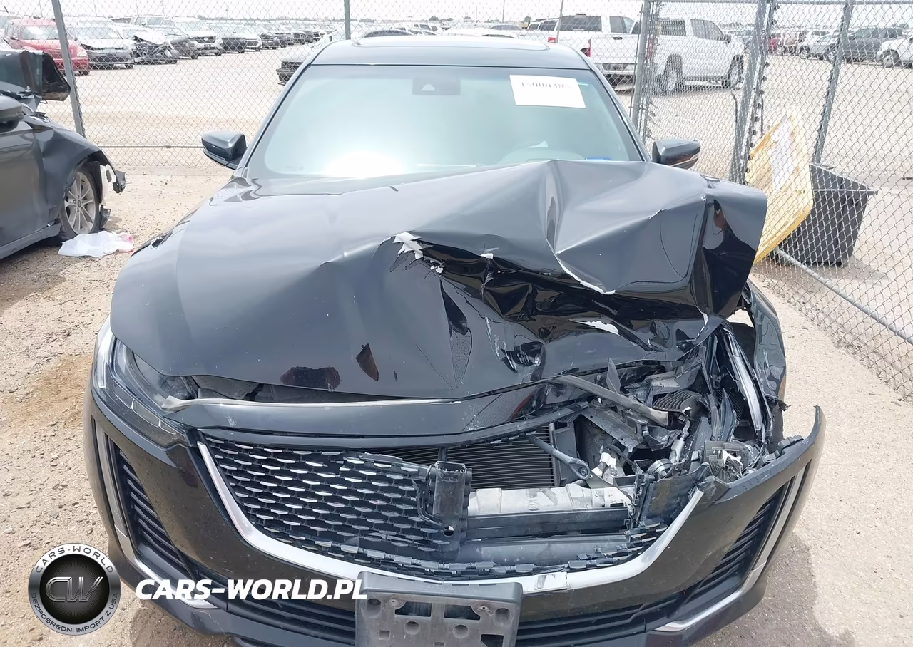 2020 Cadillac Ct5 Premium Luxury VIN:1G6DT5RK6L0115204 - 12