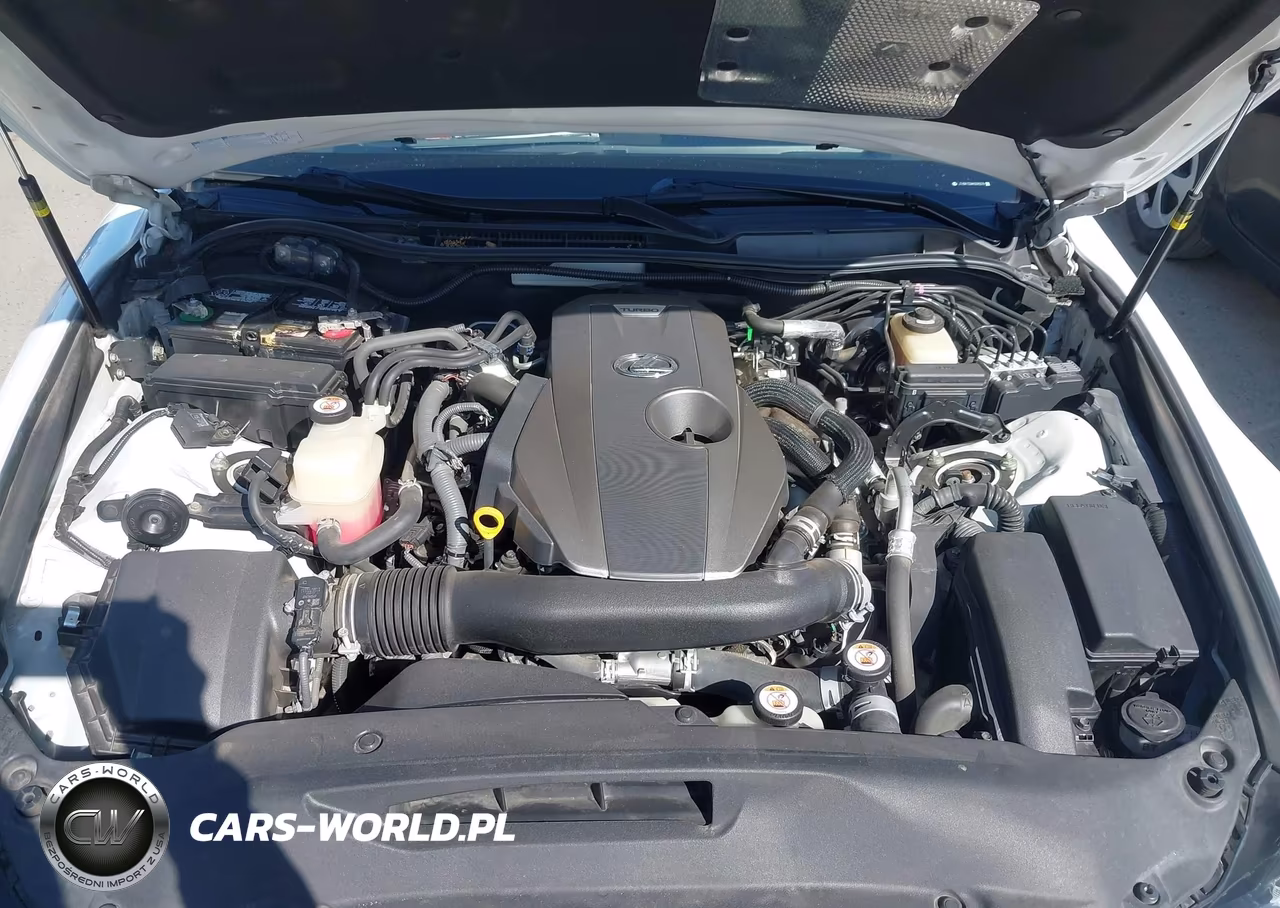2019 Lexus Is 300 VIN:JTHBA1D2XK5095579 - 10