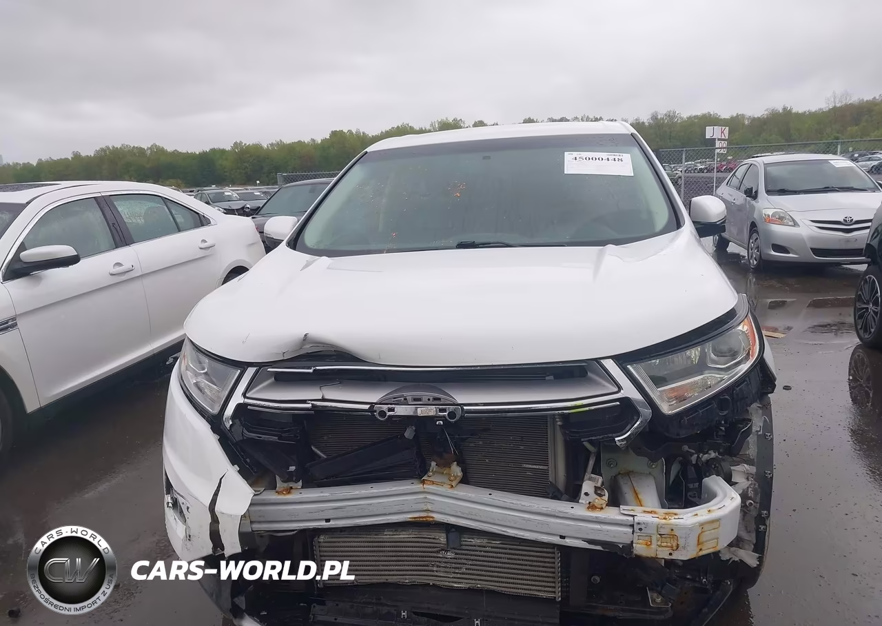 2018 Ford Edge Sel VIN:2FMPK4J90JBC46734 - 12