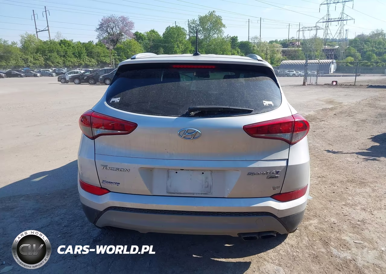 2017 Hyundai Tucson Sport VIN:KM8J3CA22HU595964 - 17