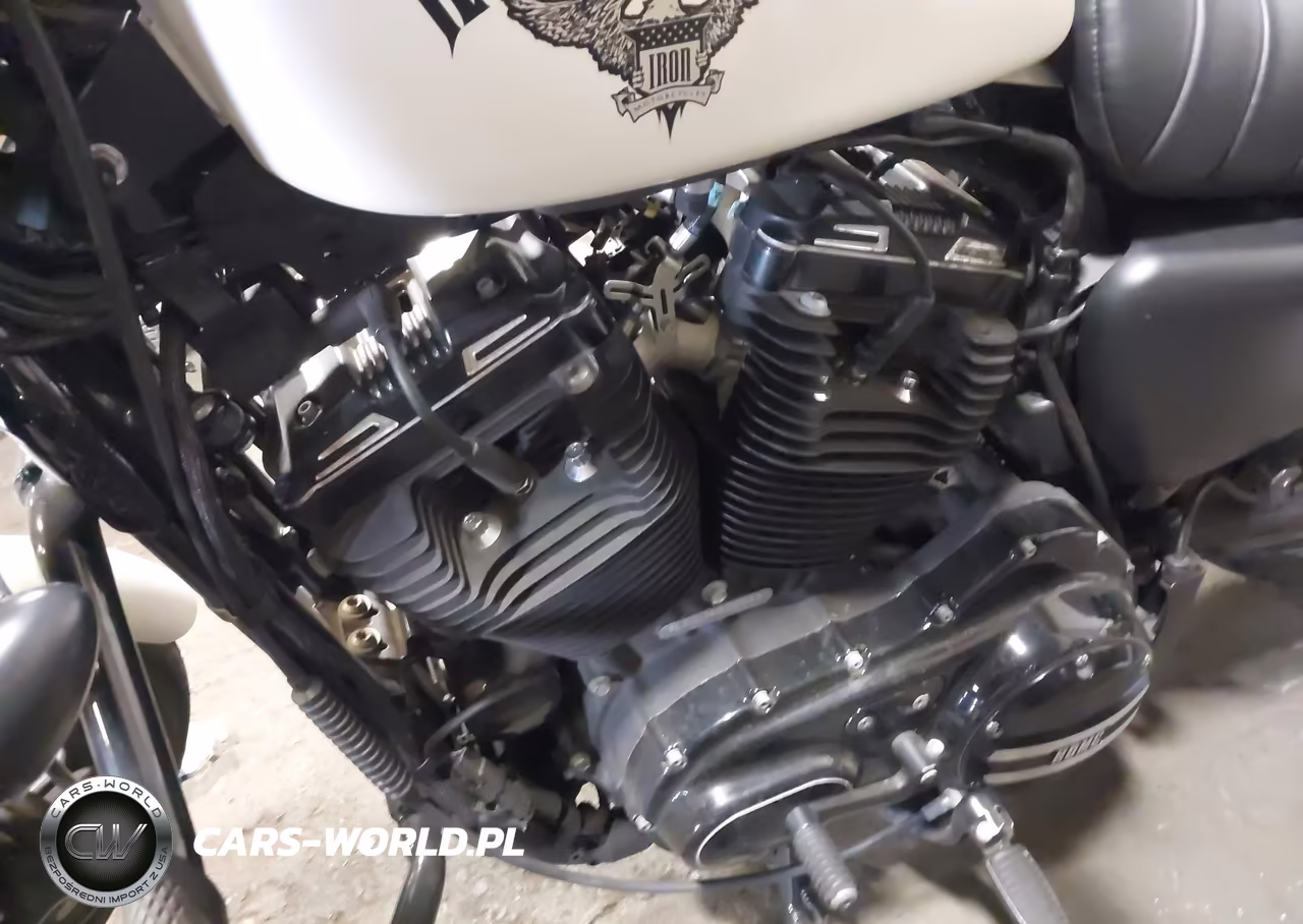 2018 Harley-Davidson Xl883 Iron 883 VIN:1HD4LE210JC402854 - 9