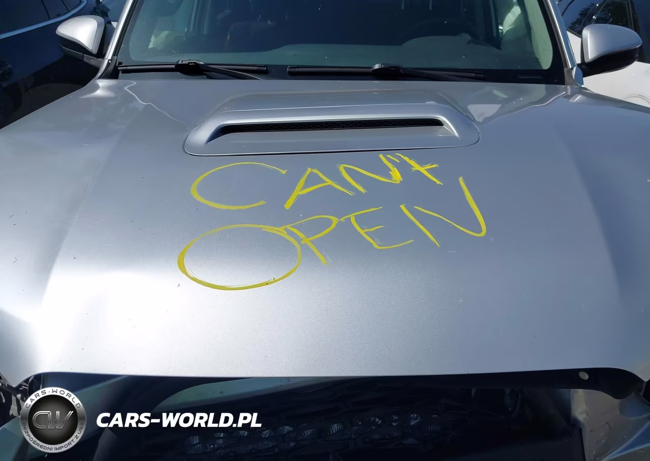 2019 Toyota 4Runner Trd Off Road VIN:JTEBU5JR5K5669387 - 10