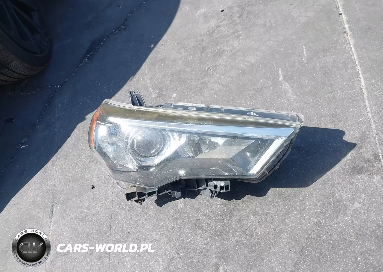 2019 Toyota 4Runner Trd Off Road VIN:JTEBU5JR5K5669387 - 12
