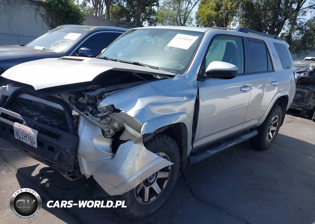 2019 Toyota 4Runner Trd Off Road VIN:JTEBU5JR5K5669387 - 2