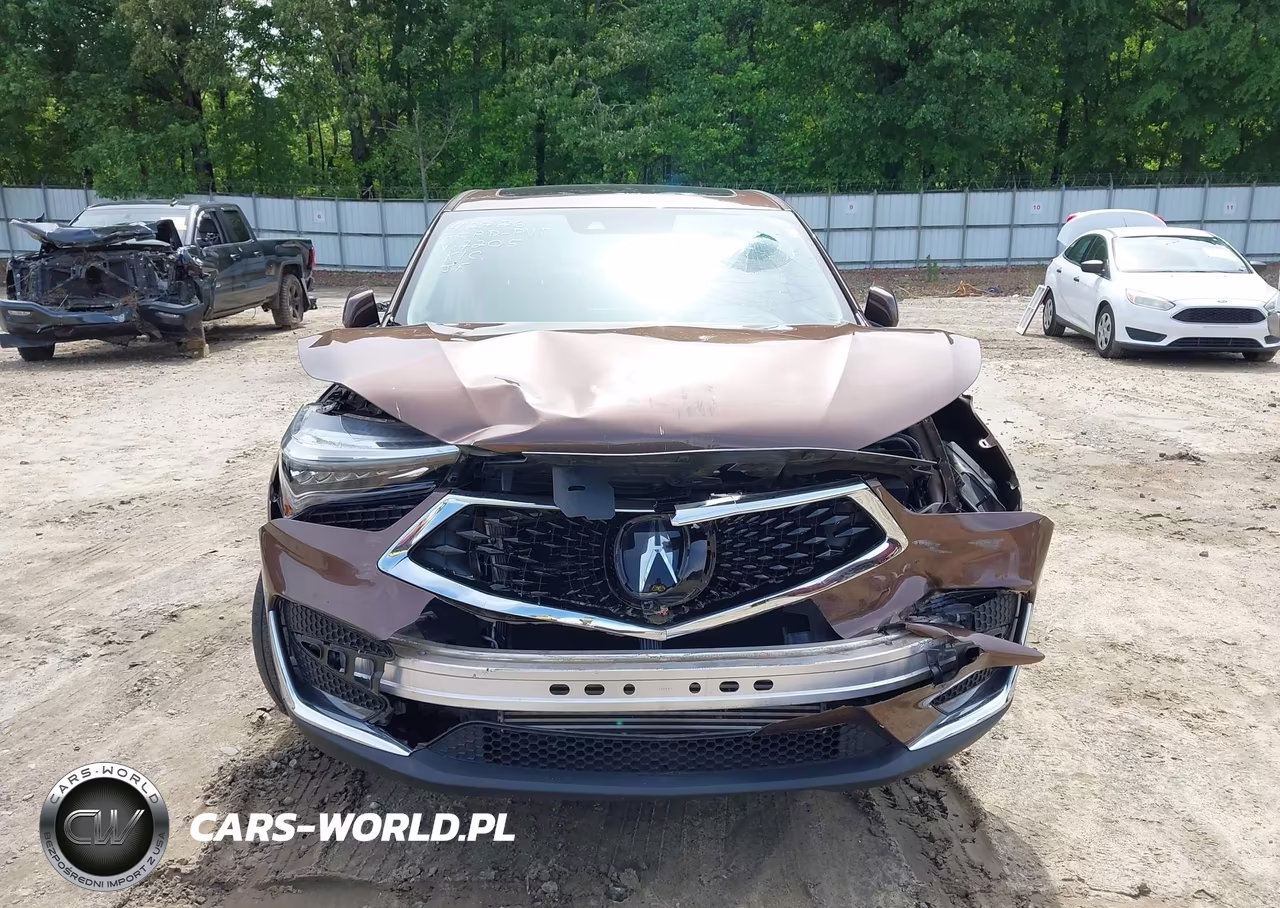 2019 Acura Rdx Advance Package VIN:5J8TC2H77KL017205 - 13
