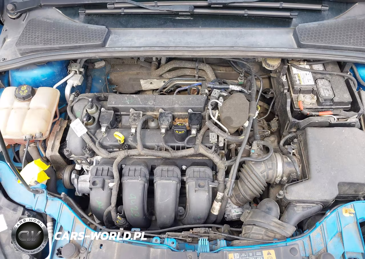 2015 Ford Focus Se VIN:1FADP3F29FL381478 - 10