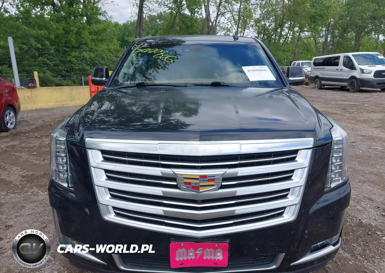 2016 Cadillac Escalade Esv Platinum VIN:1GYS4KKJ5GR106264 - 12