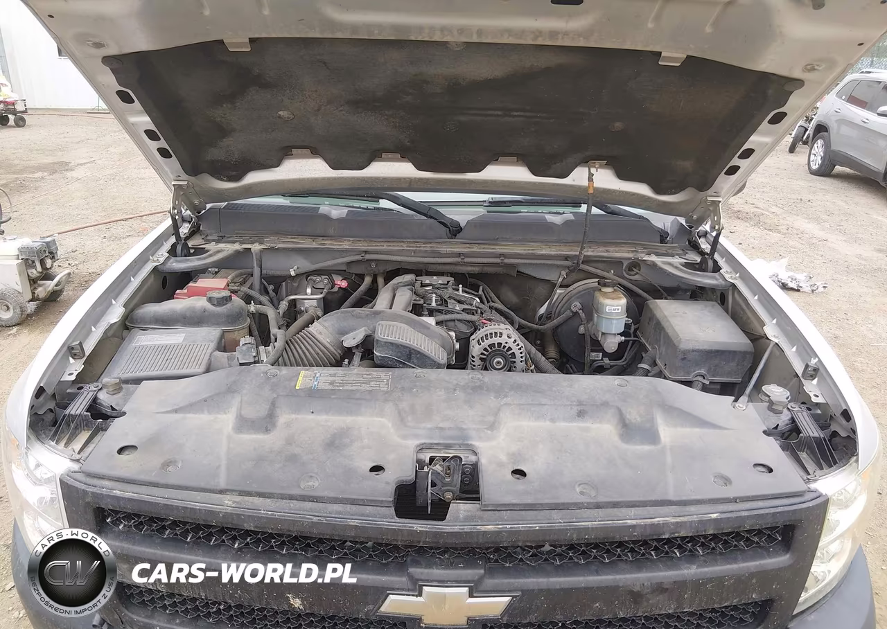 2010 Chevrolet Silverado 1500 Work Truck VIN:3GCRCPEA5AG203200 - 10