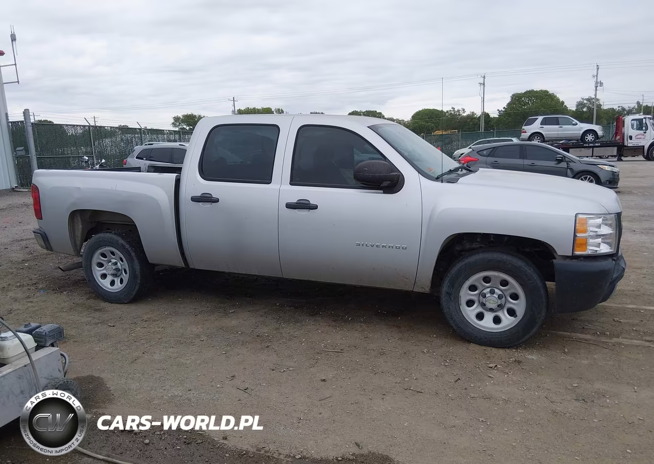 2010 Chevrolet Silverado 1500 Work Truck VIN:3GCRCPEA5AG203200 - 13