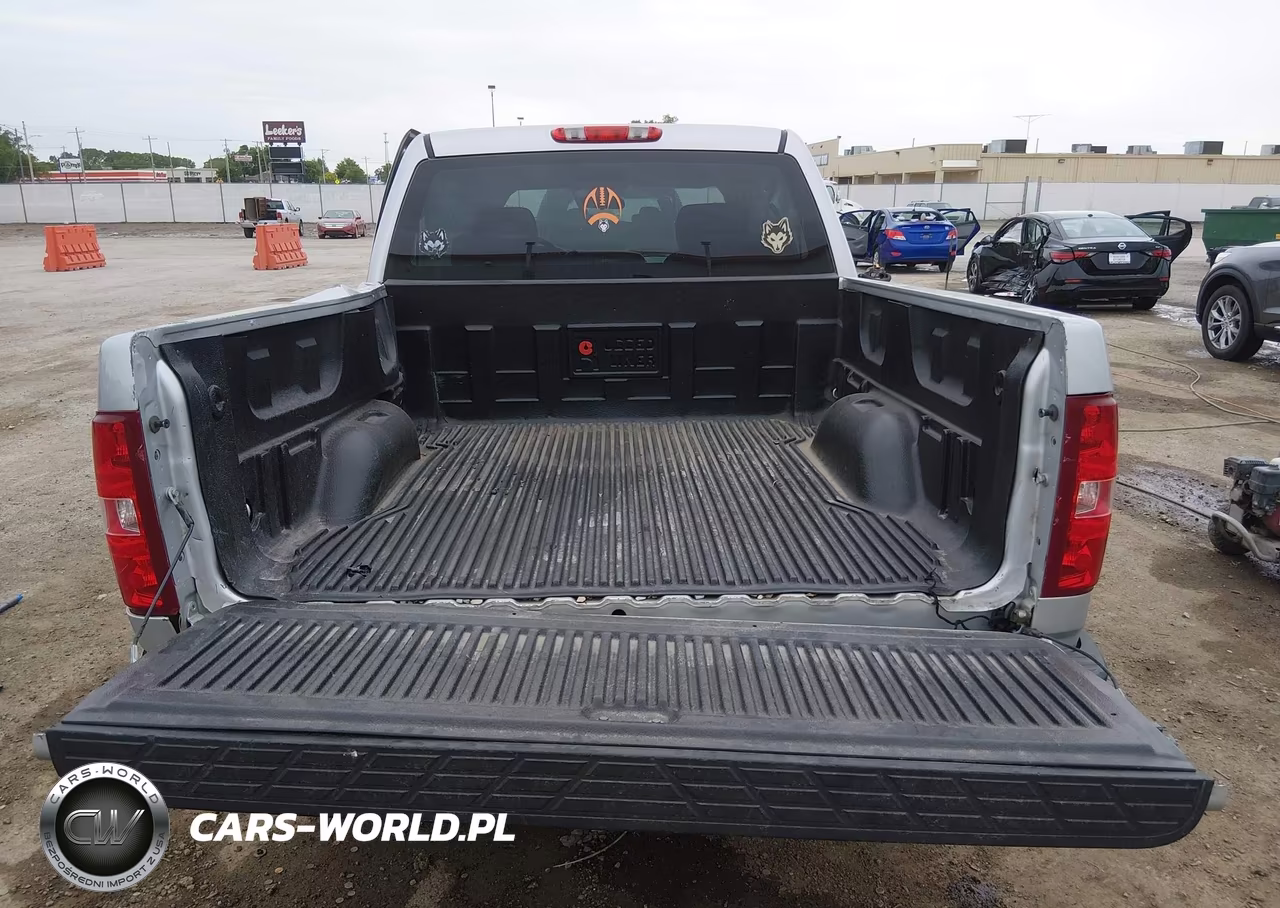 2010 Chevrolet Silverado 1500 Work Truck VIN:3GCRCPEA5AG203200 - 16